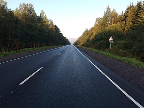 В Тверской области водитель получил травмы после столкновения с лосем