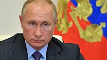 Путин заявил о создании системы учета древесины