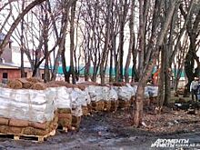 В Челнах построят общественный туалет за 14 млн рублей