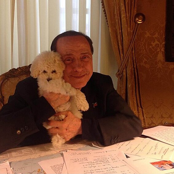 Берлускони со своим любимым пуделем Дуду