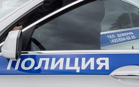 В Подмосковье задержали водителя, протащившего полицейского на двери автомобиля