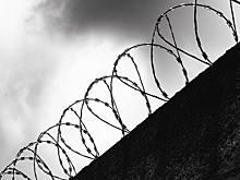 Член СПЧ предложила варианты получения высшего образования за решеткой
