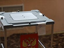 Памфилова назвала подонками портящих урны для голосования