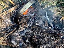 Поисковые работы на месте крушения Sukhoi Superjet 100 в Подмосковье завершились