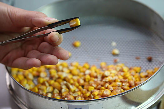 Первые семь российских компаний получили технологии Bayer в области селекции семян