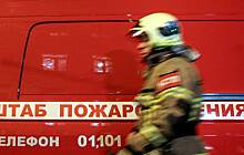 Пожар в двухкомнатной квартире в Петербурге показали на видео