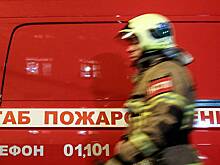 Пожар в двухкомнатной квартире в Петербурге показали на видео