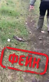 В Ростовской области назвали фейком информацию о подрыве селян на минах