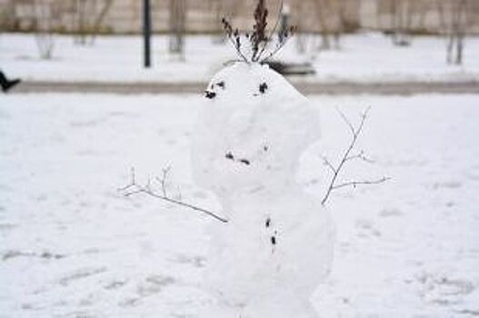 В Ленобласти вновь отменили «Лыжные стрелы» из-за отсутствия снега