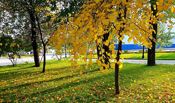 На волгоградцев 19 ноября не будут влиять магнитные бури