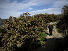 Названа цена спасения планеты
