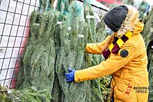 Где в Челябинске купить живую елку и другую атрибутику к Новому году