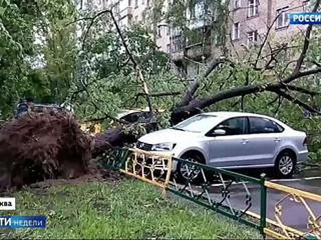 Разрушительные ураганы сплотили россиян
