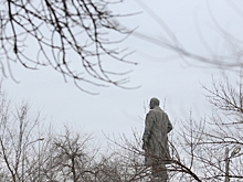 Снег при -10 ожидается в Волгоградской области 12 ноября