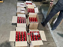 Новосибирский предприниматель оштрафован на ₽2 млн за алкоголь без лицензии