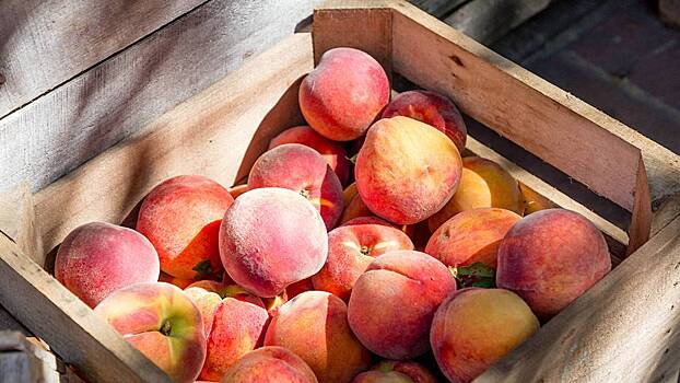 Диетолог Писарева рассказала, чем персики полезны и когда нельзя их есть