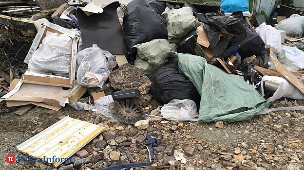 Директора МУПа оштрафовали на 60 тысяч за выброшенный мусор