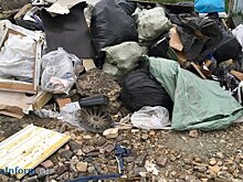 В Пензе посчитали недостаточным просто ликвидировать свалки