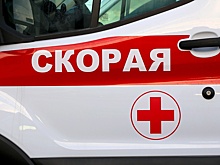 На Алтае перевернулся грузовик с туристами