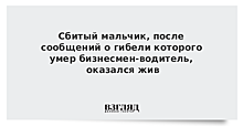 Сбитый мальчик, после сообщений о гибели которого умер бизнесмен-водитель, оказался жив