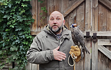 Сокольничий «Коломенского» рассказал о традиционных именах ловчих птиц