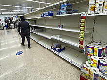 Британия нашла выход из продовольственного кризиса