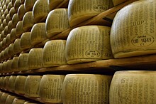 Ученые перечислили неочевидные полезные свойства сыра