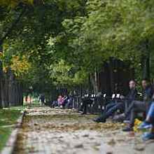 Температура в сентябре в Москве выше нормы на 6-7 градусов впервые за 80 лет - синоптики