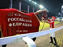 Замглавы Кубани поздравил местных коневодов после победы в Казани жеребца, рождённого в США