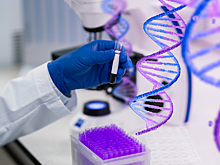 Программу для генетической диагностики онкологии разработали в Новосибирске