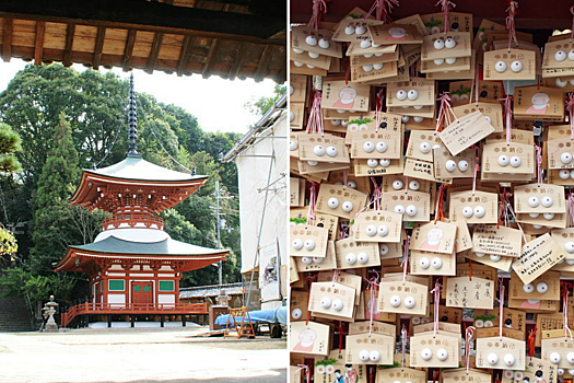 Главная достопримечательность: необычный храм женской груди в Японии