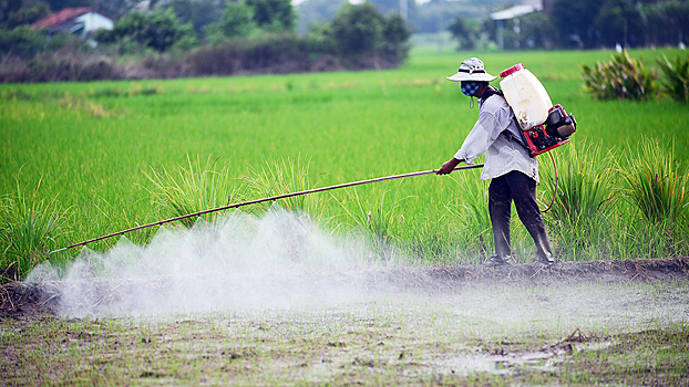 Вьетнам теряет контроль над чрезмерным использованием пестицидов