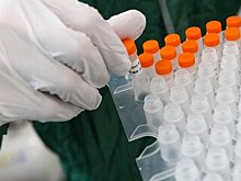 В России выявили 26 190 новых случаев коронавируса