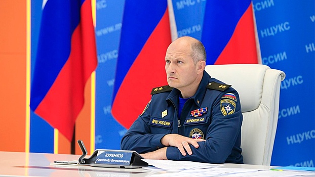 Глава МЧС Куренков из-за природных пожаров срочно вылетел в Курганскую область