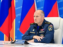 Глава МЧС Куренков из-за природных пожаров срочно вылетел в Курганскую область