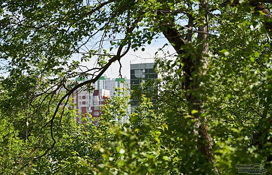 В Екатеринбурге Преображенский парк станет подобием Central Park