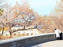 «Японский» мастер-план Владивостока не вдохновил экспертов по туризму