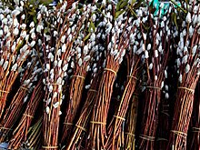 За неделю до Пасхи: православные христиане встречают Вербное воскресенье