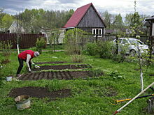 «Дачную амнистию» объявят раньше срока