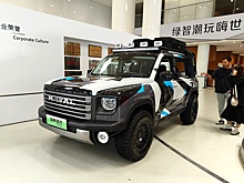 В Россию привезли Haval Raptor. Что мы о нем знаем