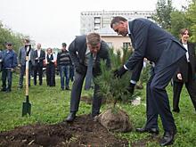 «Кузбассразрезуголь» и «БЕЛАЗ» заложили новую кедровую аллею в Кемерово