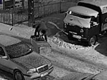 Петербурженка не позволила хулиганам ограбить себя