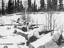 Финская война. Цена победы Красной армии – чудовищные потери