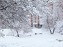 Россиян предупредили о неожиданном последствии перепадов атмосферного давления