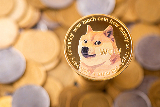 Прошел слух, что умерла собака Кабосу, прообраз криптомонеты DOGE