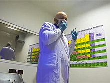 В сети появилась снятая от лица кота пародия на «Хардкор»