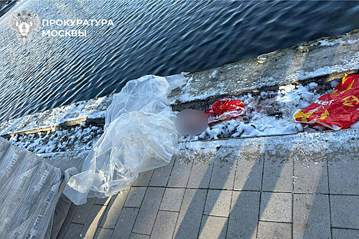 Гольяновский пруд, в котором обнаружена голова ребенка, готовят к спуску воды