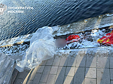 Гольяновский пруд, в котором обнаружена голова ребенка, готовят к спуску воды