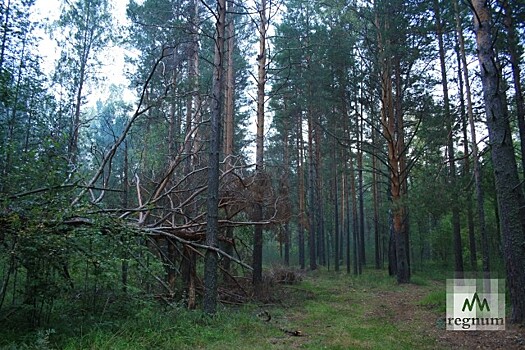 В Ульяновской области горело ещё 2 гектара травы