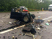 Украинских политологов столкнули под лесовоз